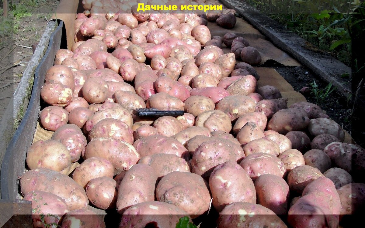 https://vk.com/photo-159774511_457249054