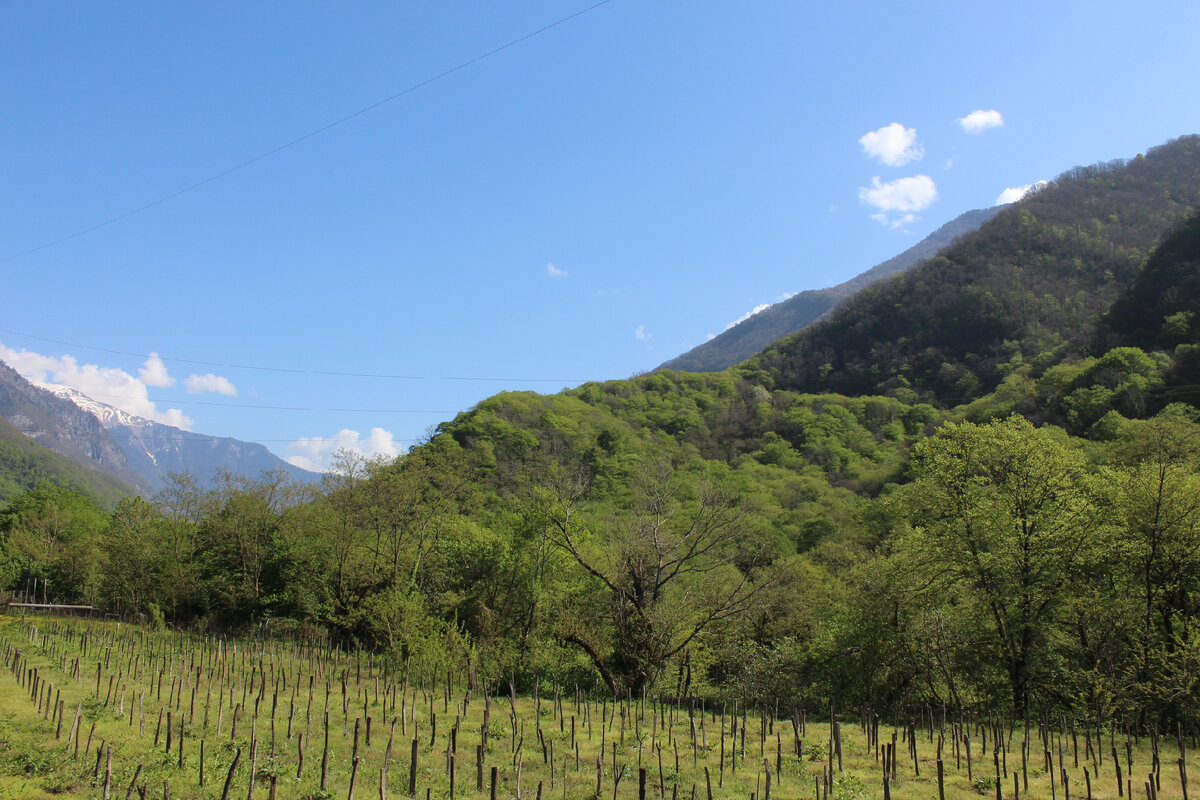 Фото автора 