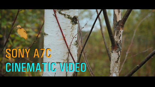 Sony A7C full frame, cinematic video test. Nature, HLG-2 BT2020.