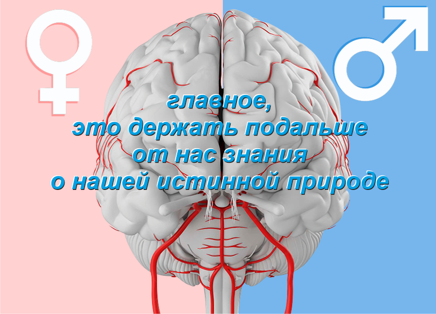 Из открытых источников