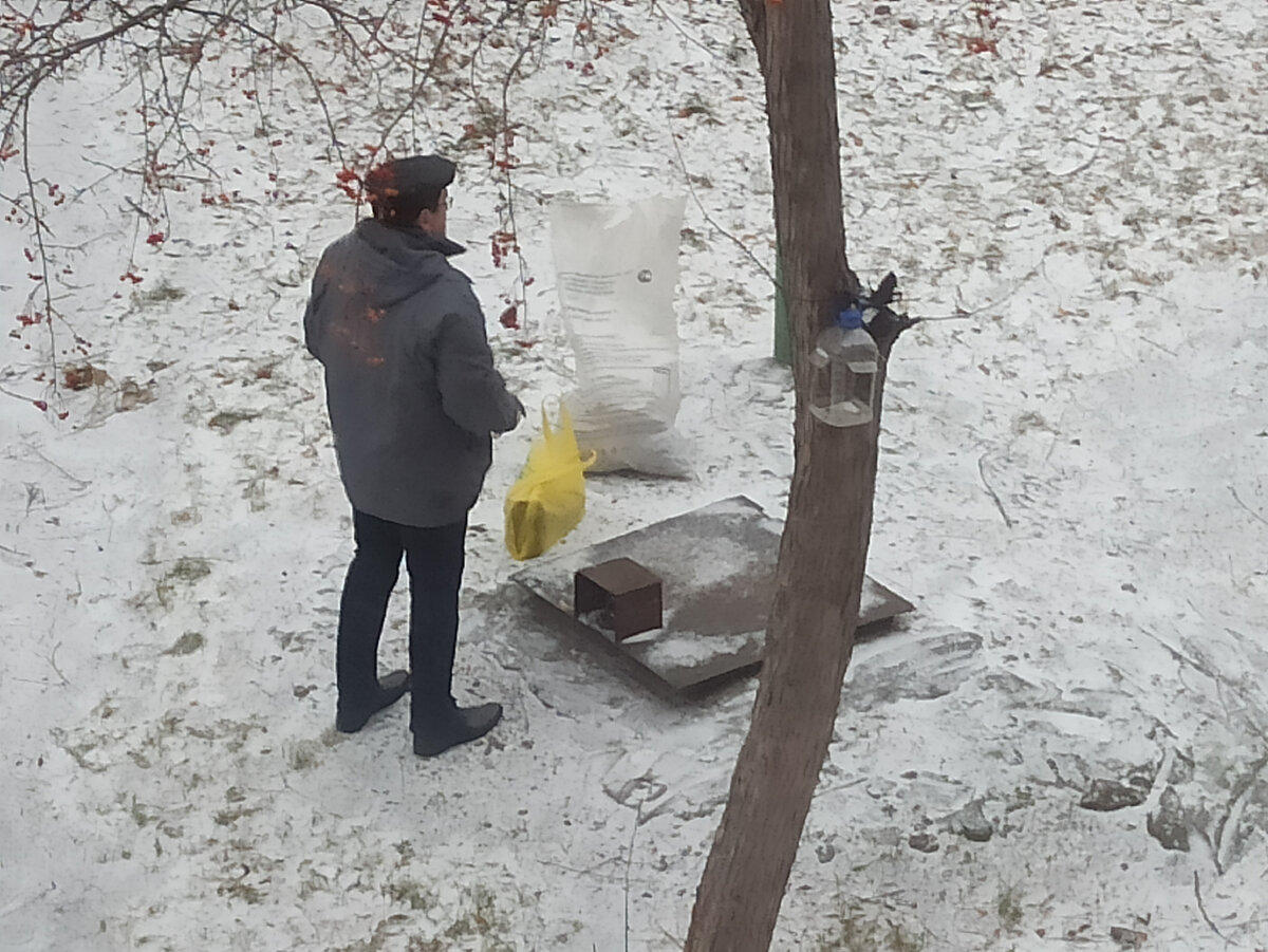 Кому мешают погреба в городе возле многоэтажного дома? Законны ли погреба и  как их убрать | Ремонтдом | Дзен