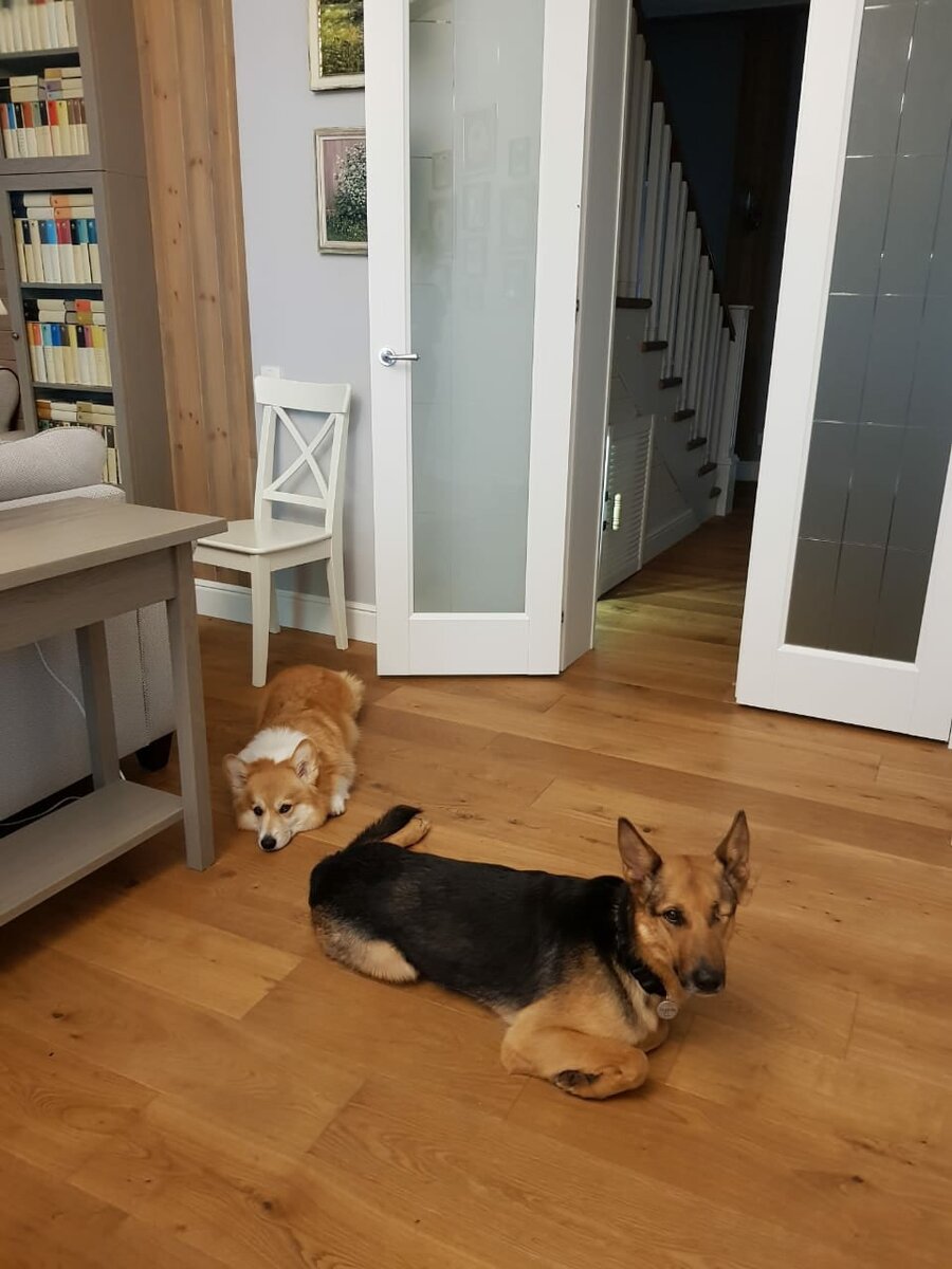 Тайка с другом Чиффом