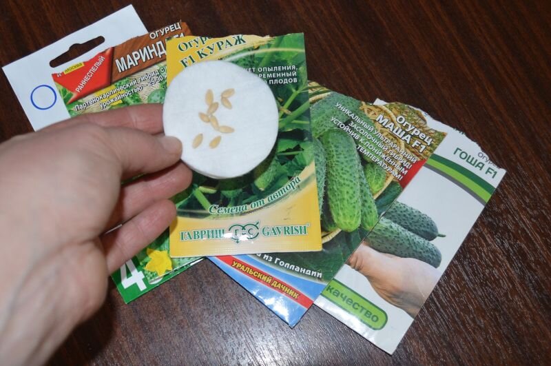 Семена огурцов для посадки.