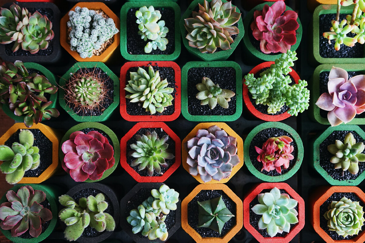 https://unsplash.com/, lan deng