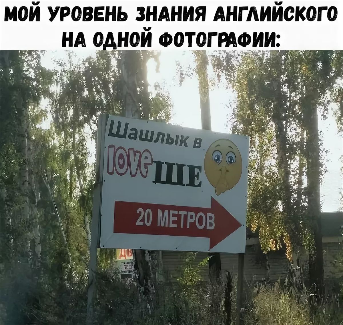 Приколы в картинках с надписями