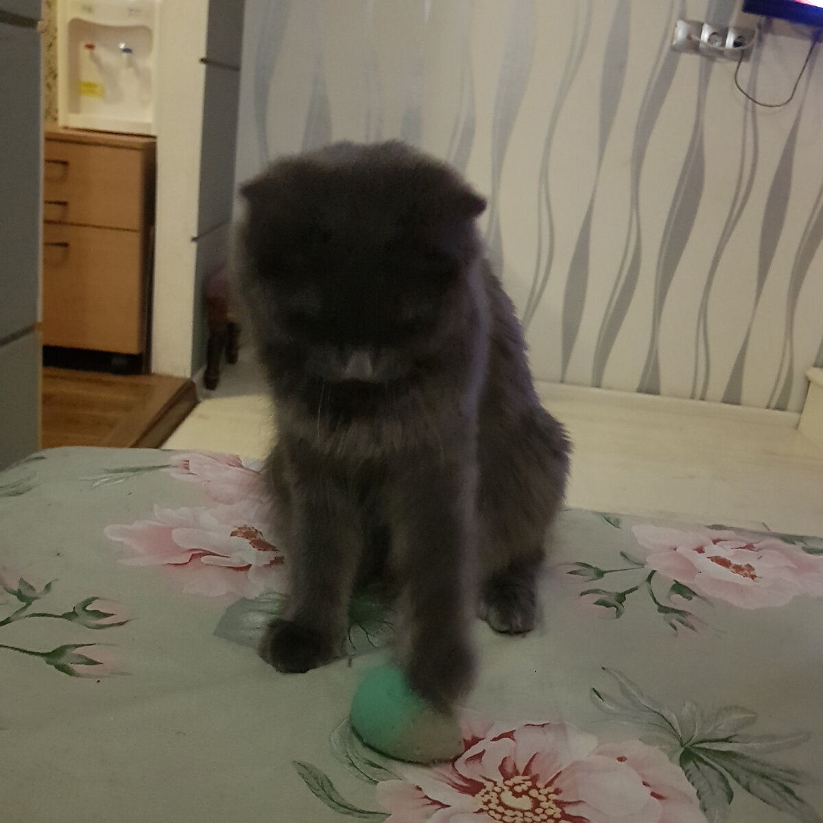 Малышка оказалась очень сообразительной , таскала игрушки в постель и мои спонжики для лица , все это аккуратно складывала в кучку.