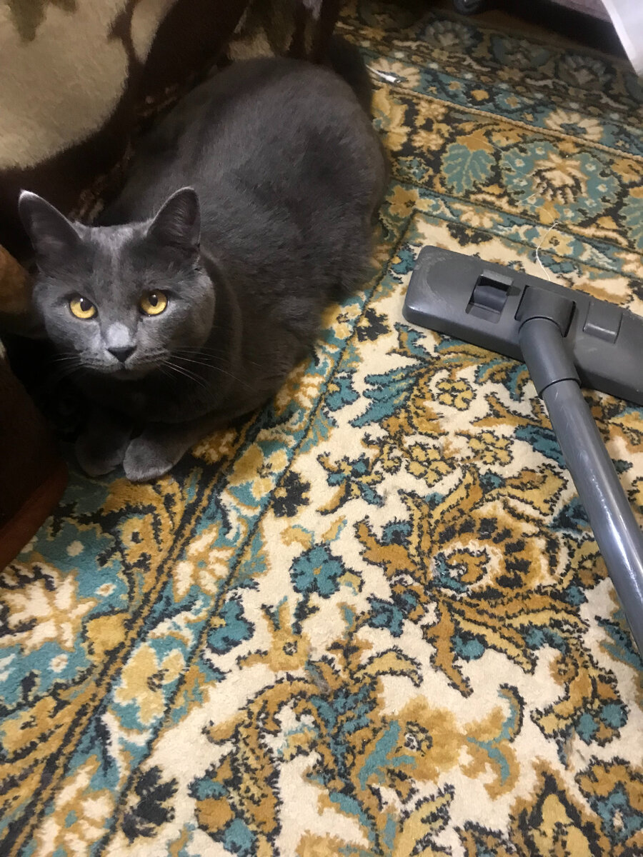 Вражина моя!