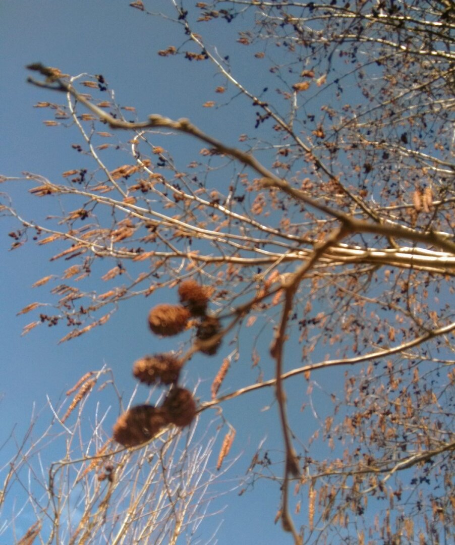 Скоро весна!