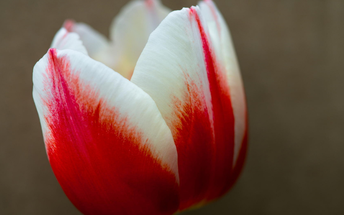 Картинки их- интернета