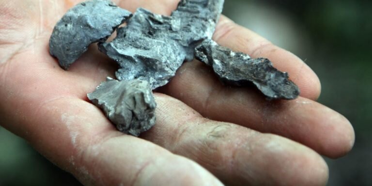 Фото: РИА «Новости»