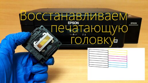 Принтер epson l110 после ремонта памперса не печатает