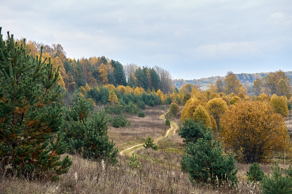 Фото автора статьи Никифорова Сергея