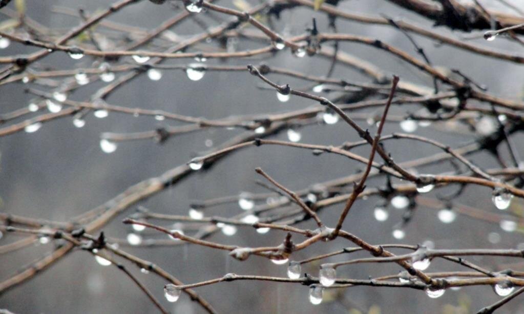 Фото — vsegda-pomnim.com