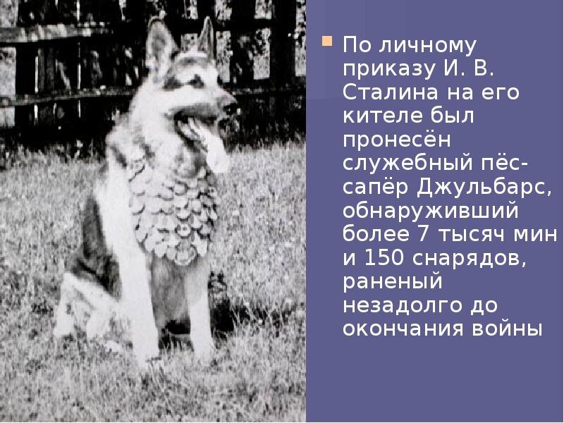 Фото взято из Яндекса.