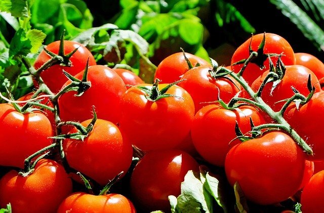 Фото: pixabay.com