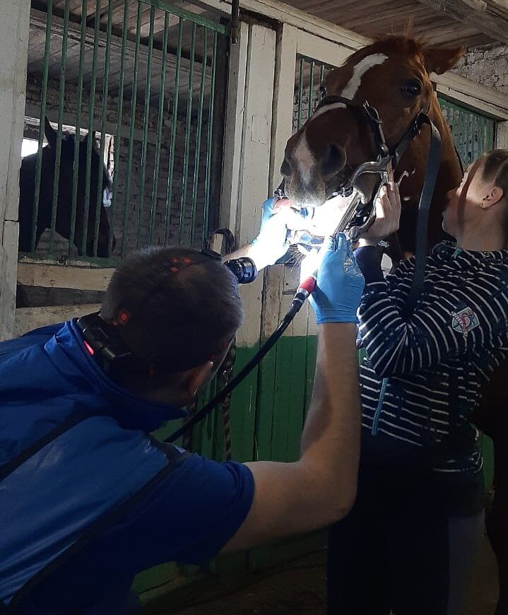 Олег Бабич ведет прием в Благовещенске