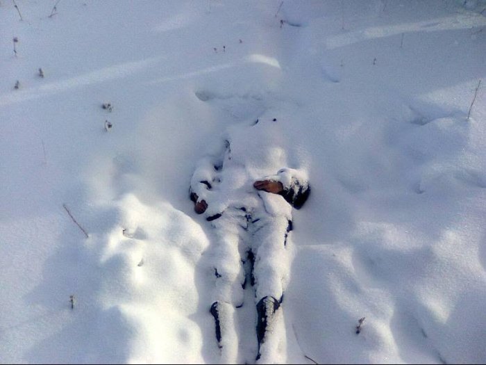 Яндекс  фото