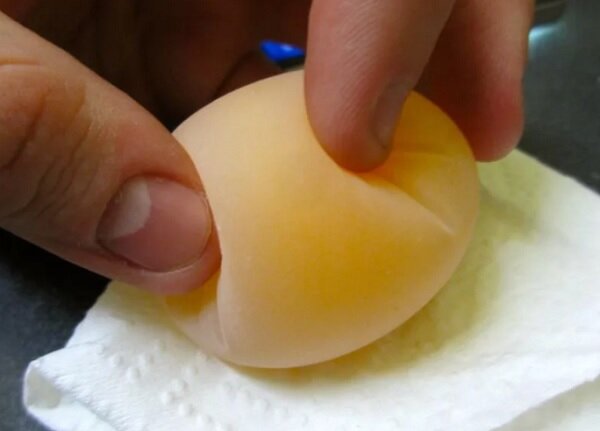 Причины тонкой скорлупы у куриных яиц и способы ее укрепления