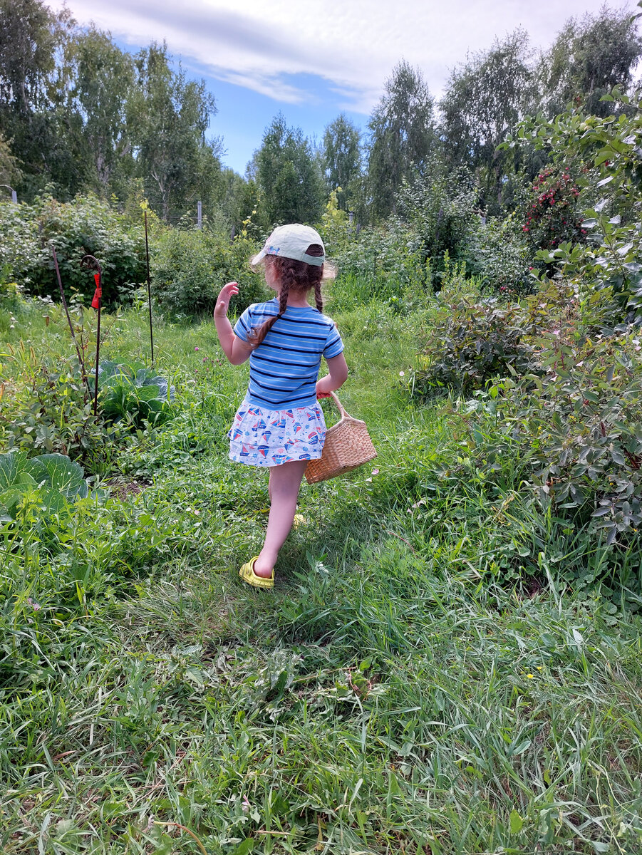 Ушел куда-то за поворот... июль . Внучка смотрит куда там июль направляется... Я ей сказала, что он за наш лесистый овраг уходит до следующего года... Зато какие яблоки в августе начнутся! А помидоры, огурцы продолжатся... А еще и малина "вечная" начинается и клубника. Пусть не такая сладкая, как июньская, но красивая... А еще и ежевика пойдет, яблоки, виноград... Дети большие и маленькие будут рады ... и мы...