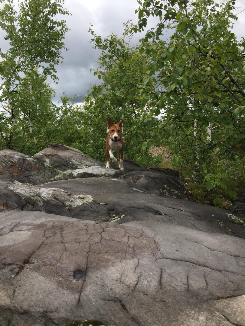 Месси исследует мир. Фото автора