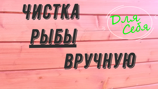 РР-1 или мечта жены рыболова. Рыбочистка своими руками