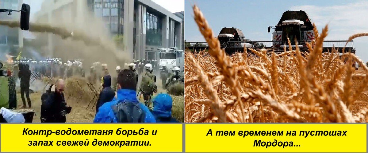Изображение из открытых источников