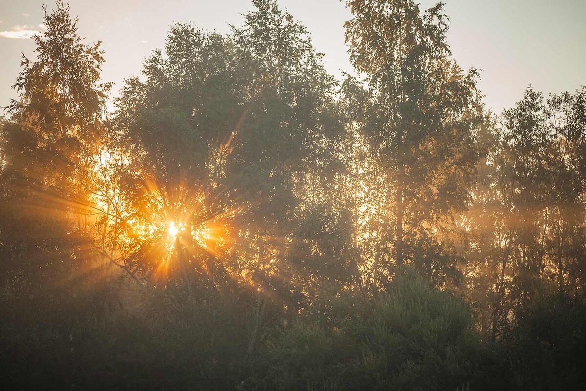 утра луч из за усталых бледных. утра луч из за усталых бледных. утра луч из за усталых бледных. как описать утренние лучи солнца. весенний закат.
