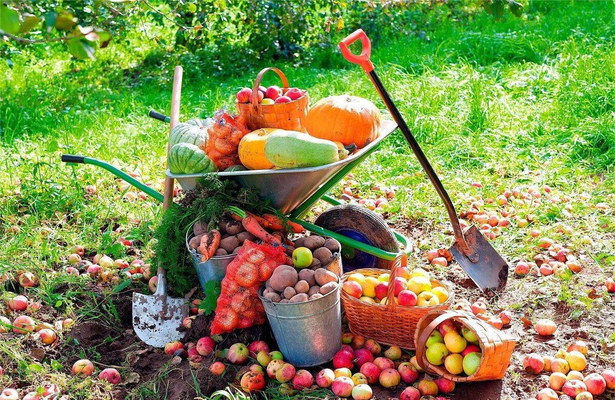 фото из открытых источников