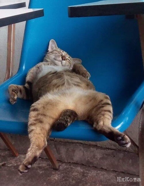 Фото: pinterest.com