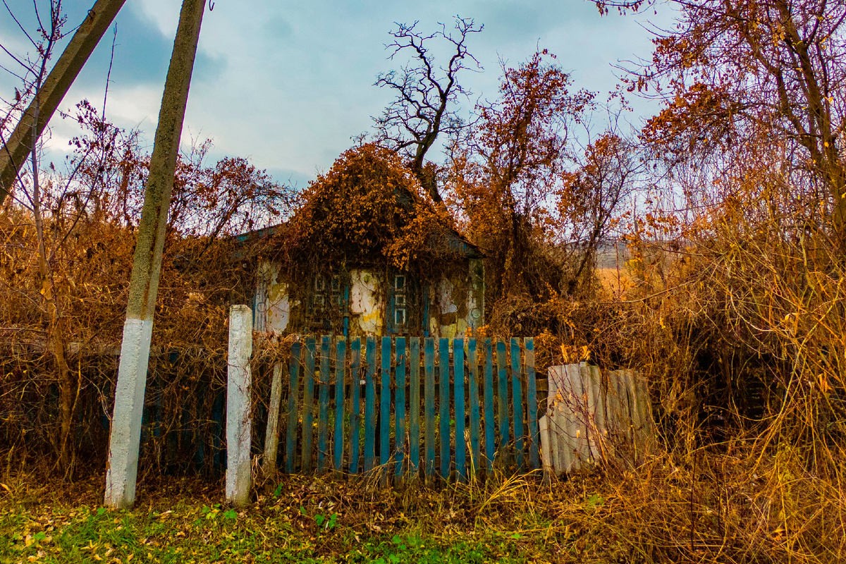 Фото автора