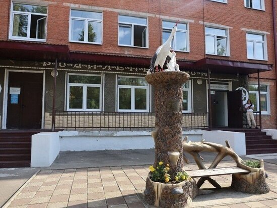     Фото из официального аккаунта Серпуховского родильного дома в сети «ВКонтакте»