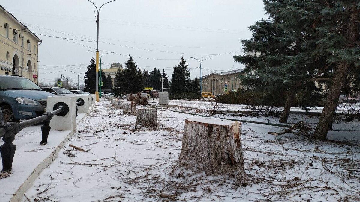     В Волжском на улице Фонтанной срубили все тополя, причем даже здоровые, сообщают горожане в соцсетях. Произошедшее возмутило местных жителей.