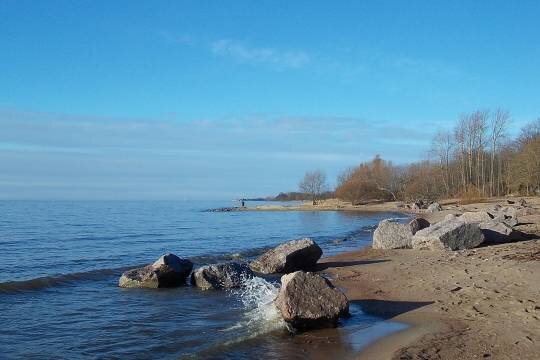    Не тихая гавань
