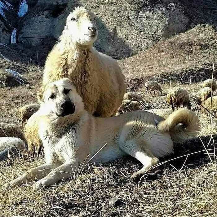 Фото из свободного источника Интернета