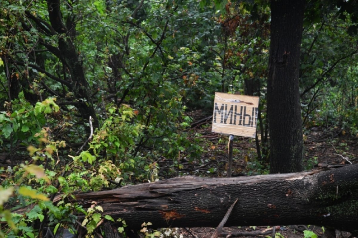    NYT: инженеры и механики ВСУ массово гибнут на минных полях в зоне СВО