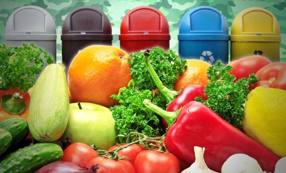 На переработку направляются продукты питания, утратившие потребительские свойства