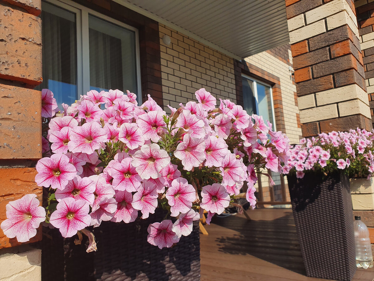 Начнём с красоты. И вот, кстати, про неё то все всегда и говорят обычно