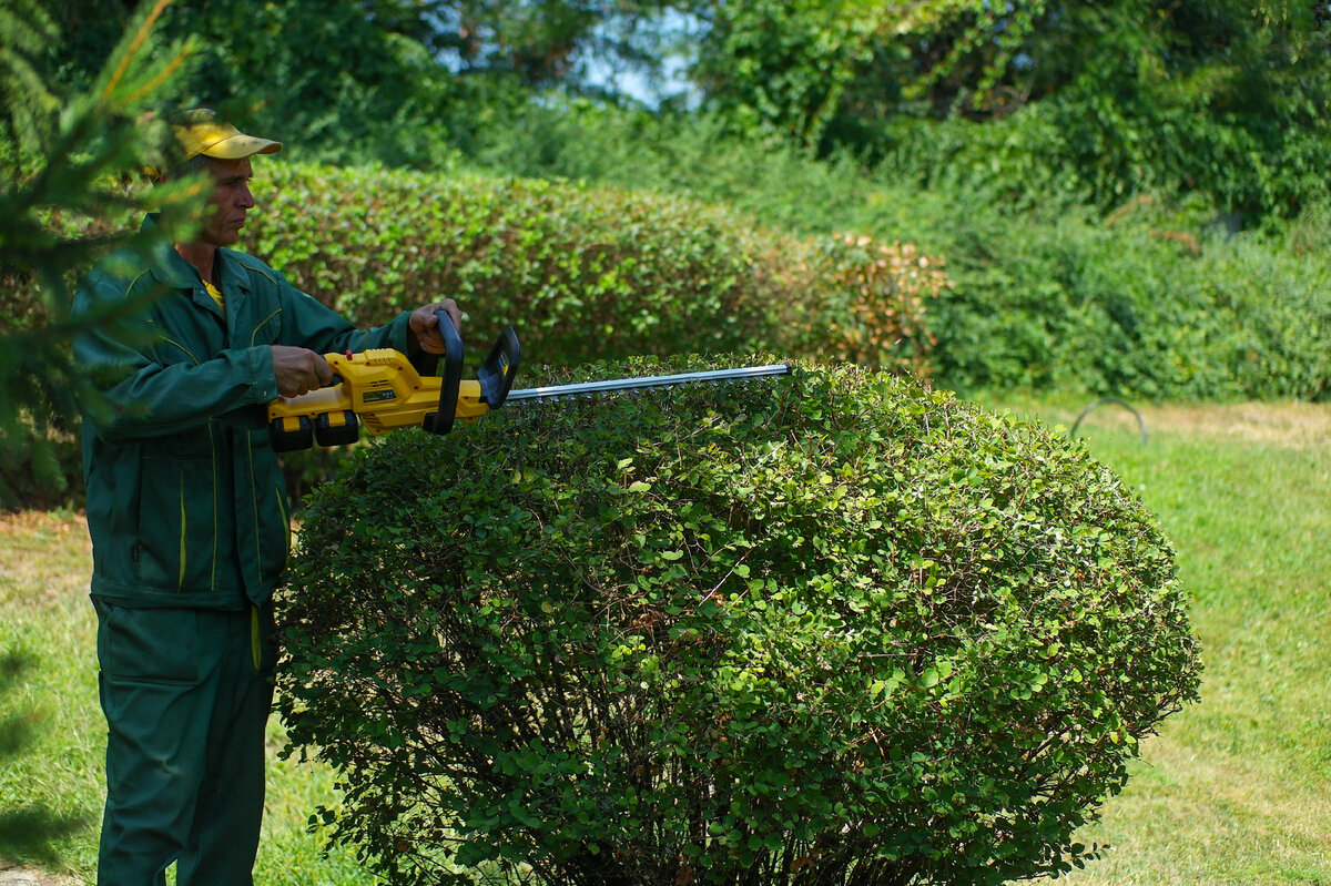 Denzel RBC510-36 Cordless Brush Cutter – аккумуляторный садовый кусторез с мощным коллекторным электромотором на 36V, комплектующийся сразу двумя аккумуляторами. Что из этого вышло, узнаем далее.-16-2