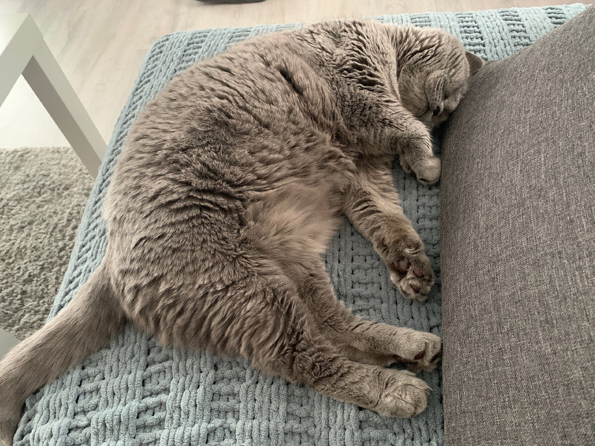 В харизматичной роли Василиуса наш любимчик Лексус)