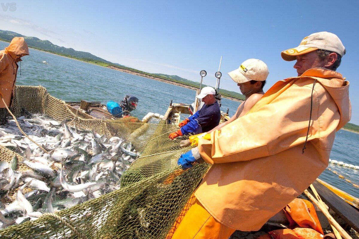 Фото: fish.gov.ru
