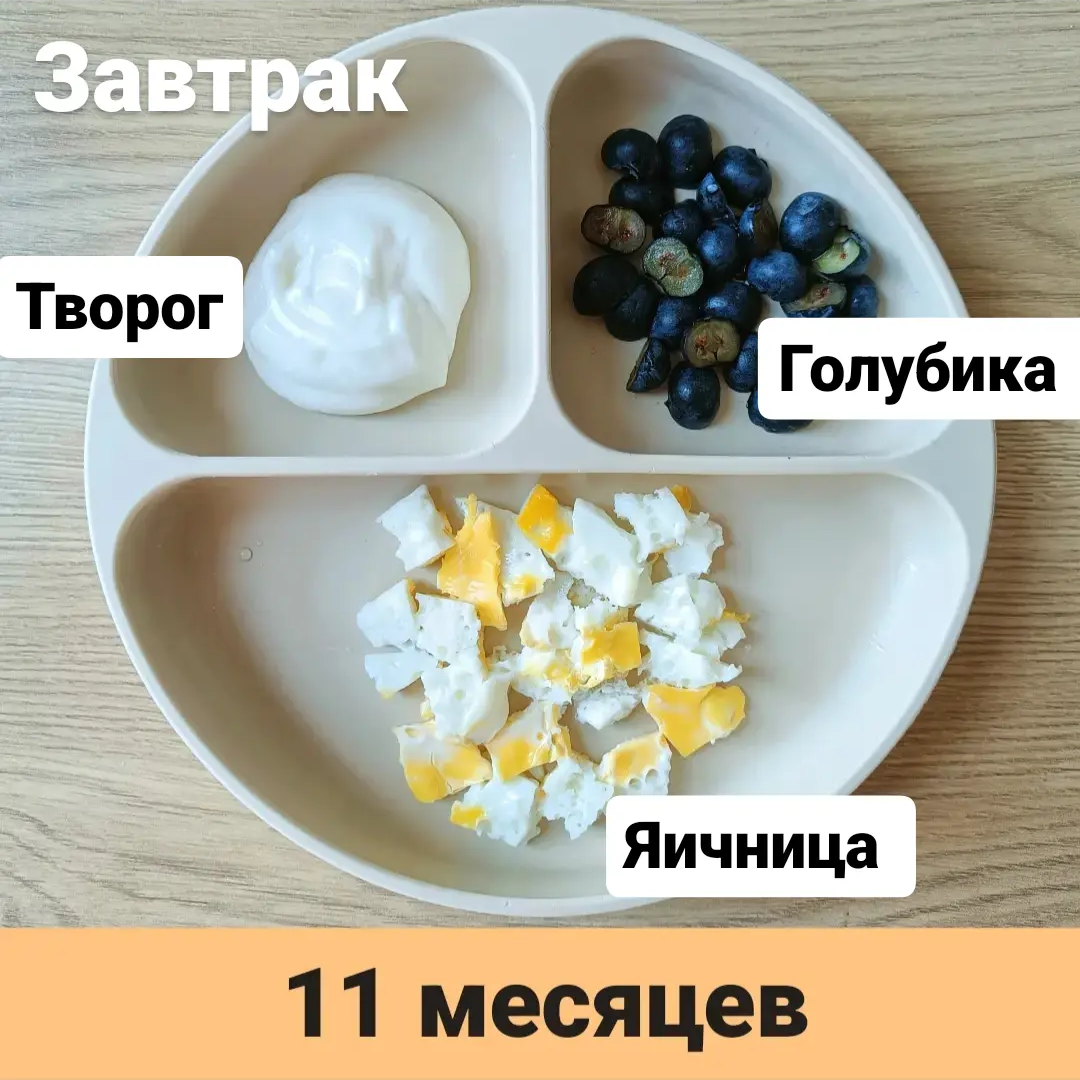 Пример тарелки в 11 месяцев 