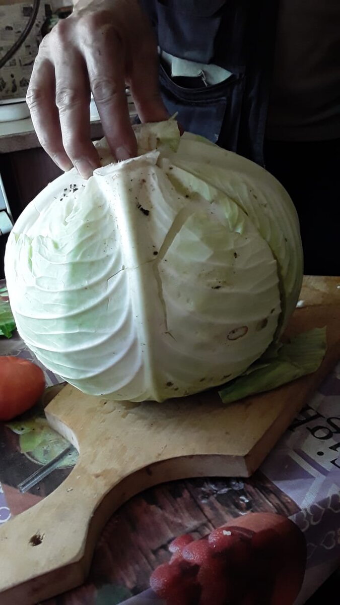 Капустка наша!😊