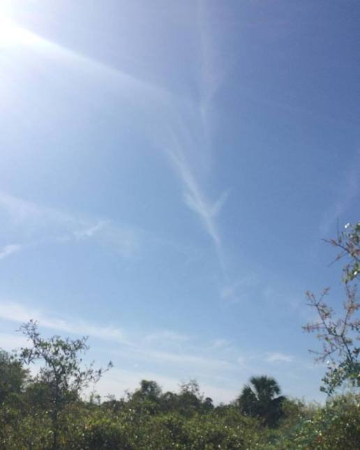 Когда я увидел Альгиза в небе.