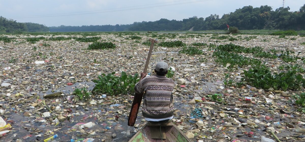 Фото из открытых источников yandex.ru