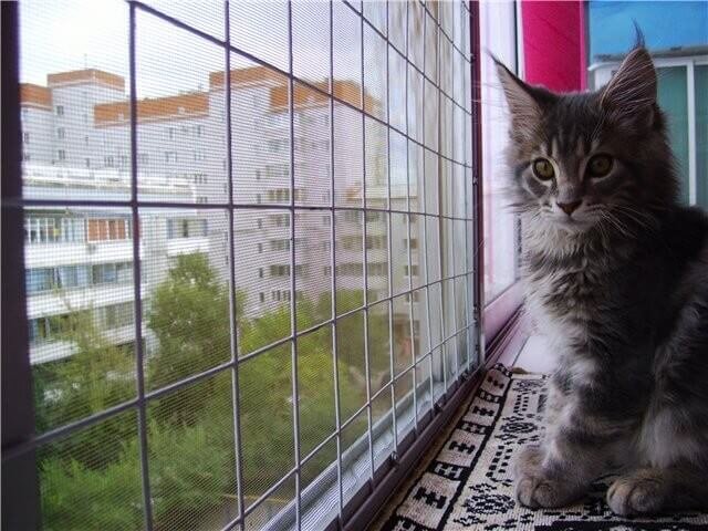 Фото из Интернета