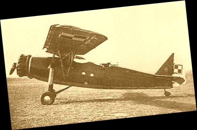 RWD-14, польский разведчик, все фото статьи взяты из открытых источников