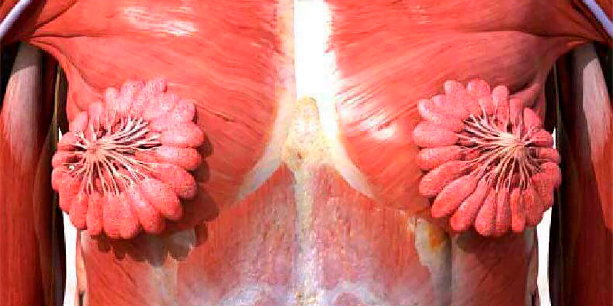 150 тыс лайков, 50 тыс перепостов и 4 тыс комментариев набрала эта фотография за 1 день!