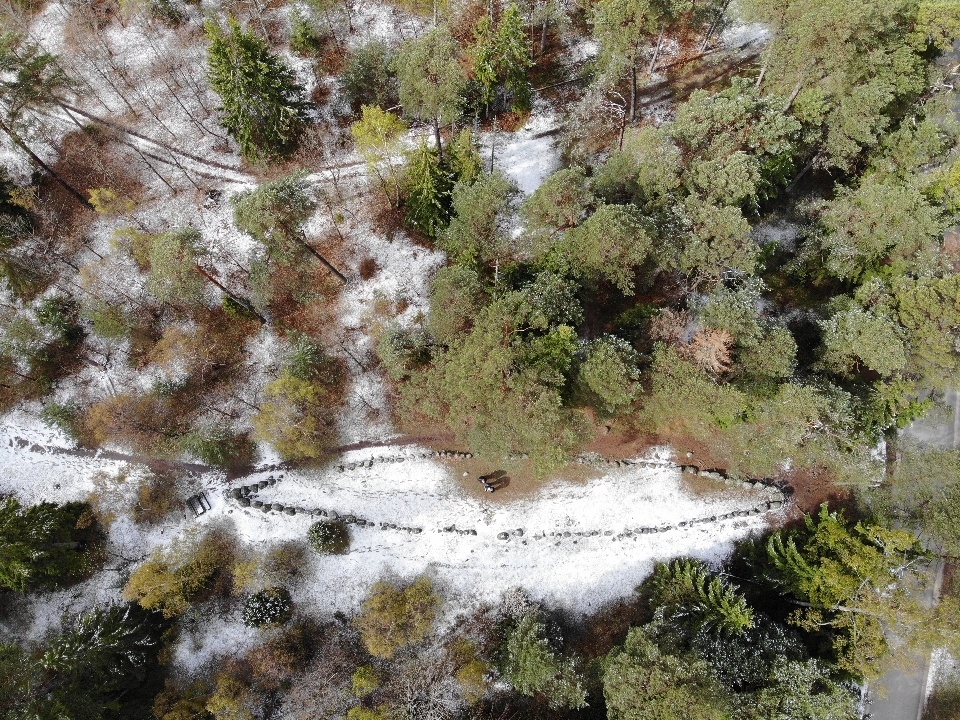 Вид с коптера. В длину примерно 45 метров, в ширину — 7. Мы с приятелем (в центре) изображаем мачты.