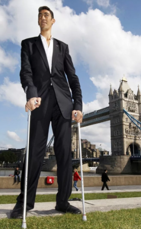 Современный рекордсмен 