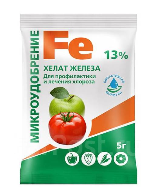 ДЕФИЦИТ ЖЕЛЕЗА У ТОМАТОВ - как исправить | 1000 томатов | Дзен